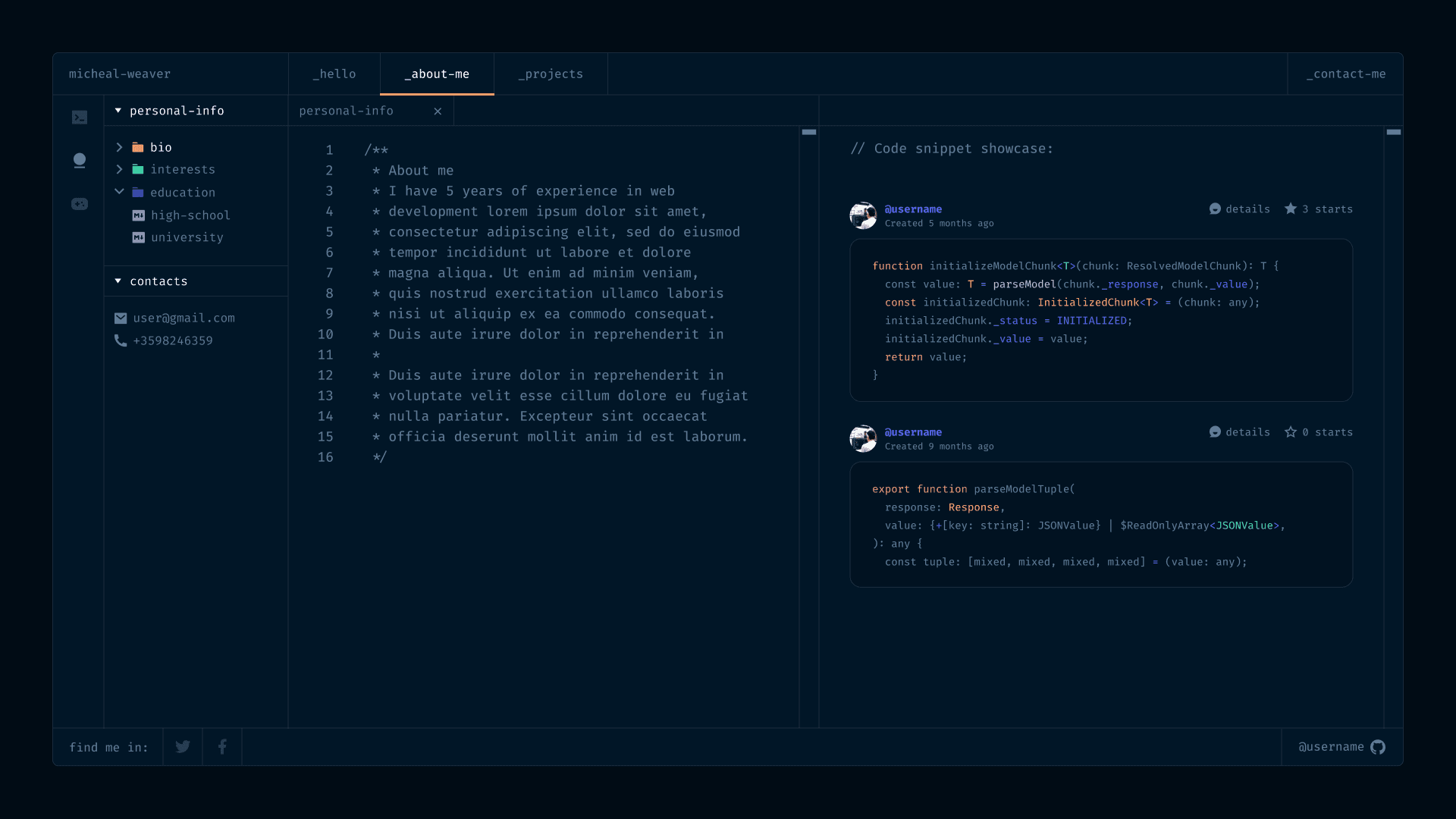 Professional Portfolio Manager project preview